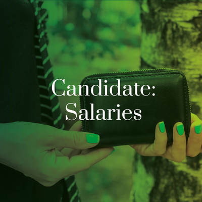 Candidate salaries - image showing purse being held