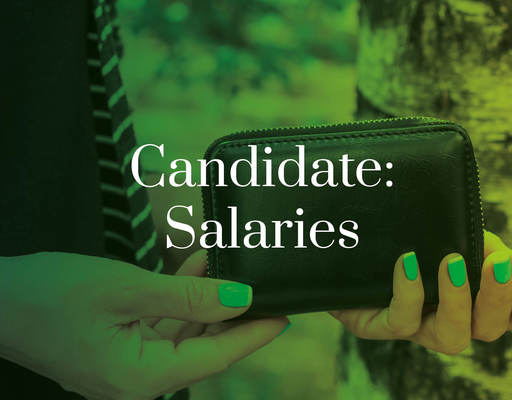 Candidate salaries - image showing purse being held