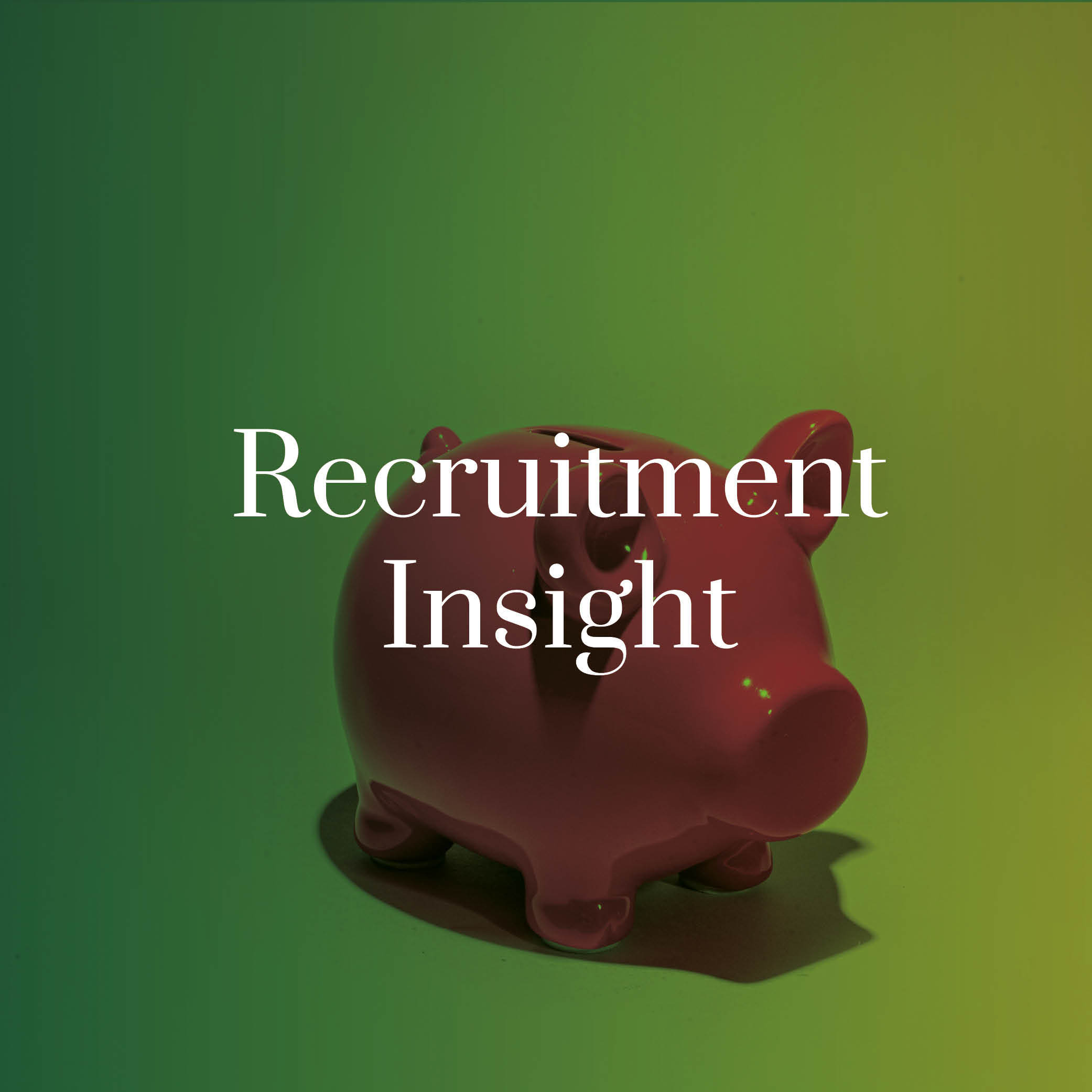 Piggy bank image over laid with a green foreground with the words recruitment insight written on top 