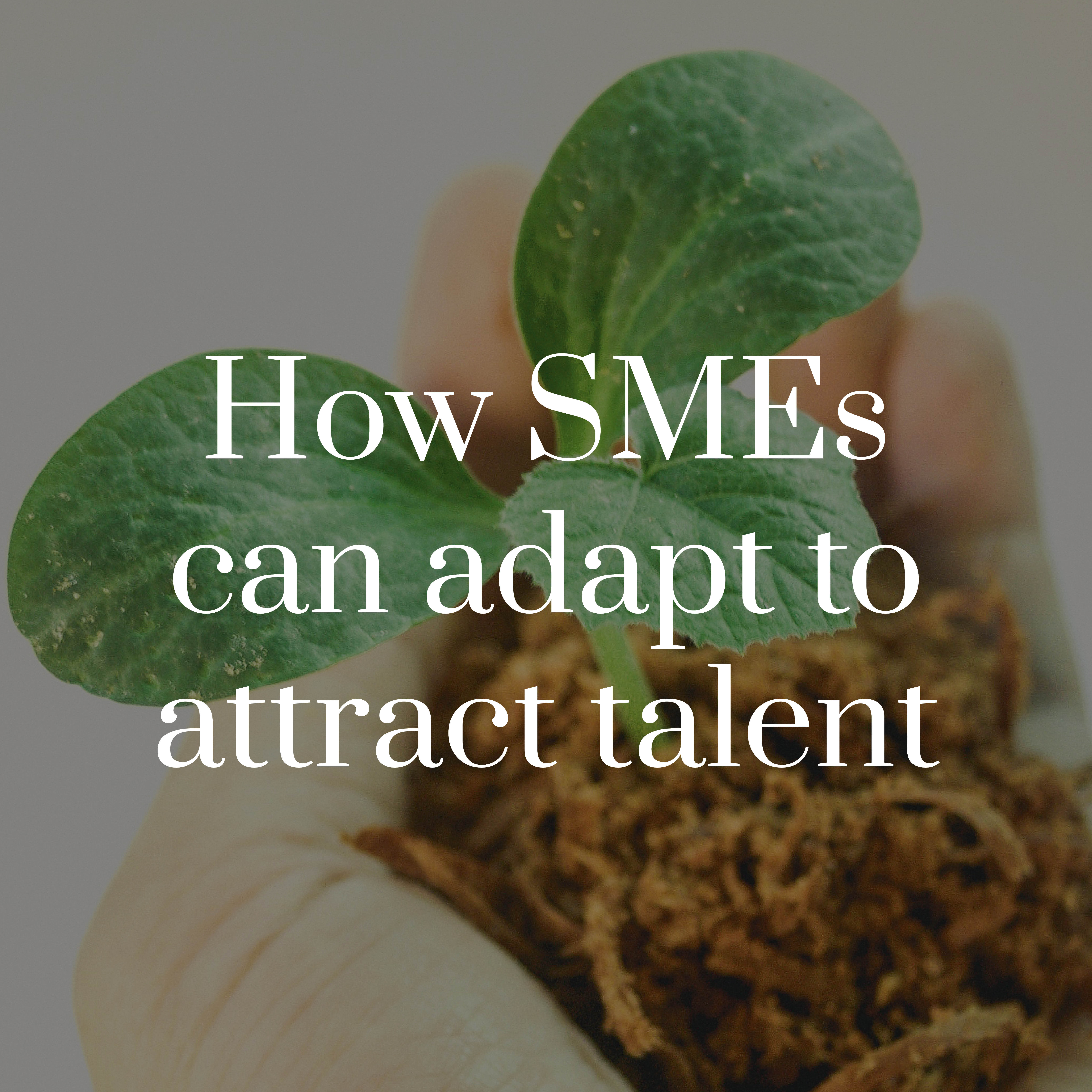 How Sm Es Can Adapt To Attract Talent