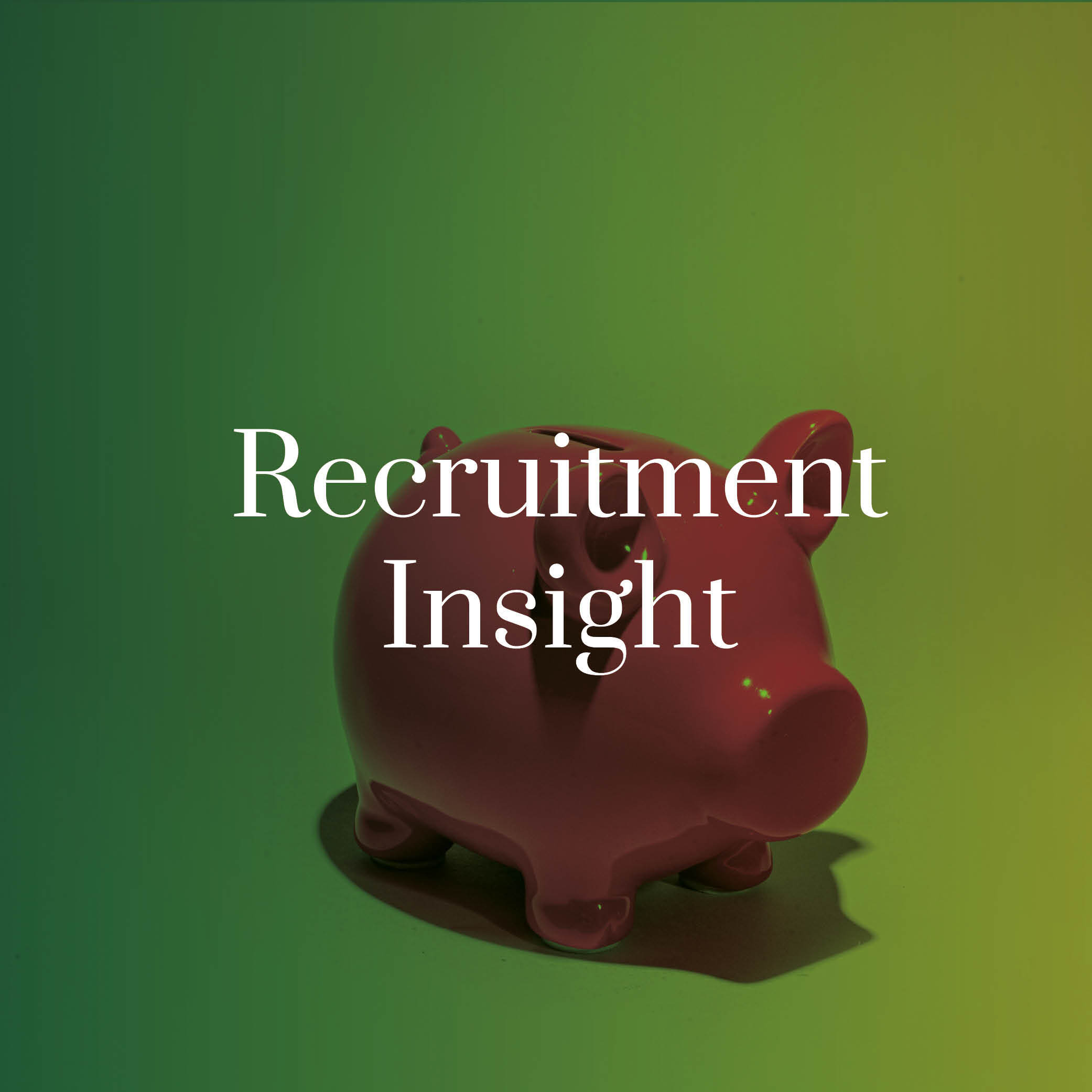 Piggy bank image over laid with a green foreground with the words recruitment insight written on top
